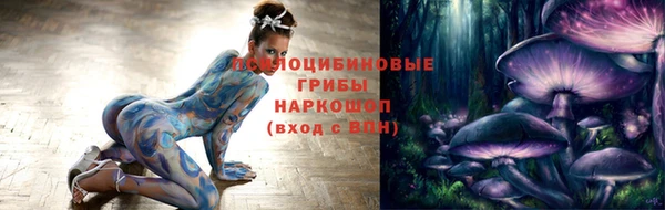 стаф Абинск