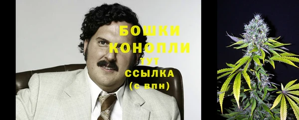трава Абаза