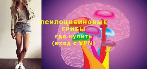 трава Абаза