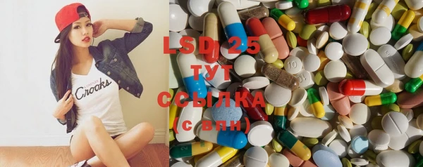 стаф Абинск