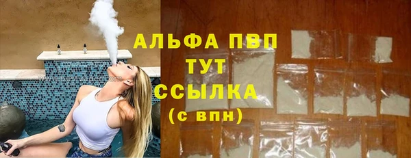 стаф Абинск